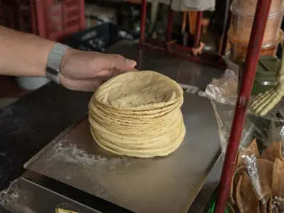 Colima respalda a industriales de la masa y tortilla