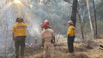 Controlan incendio en bosque Los Colomos con apoyo aéreo