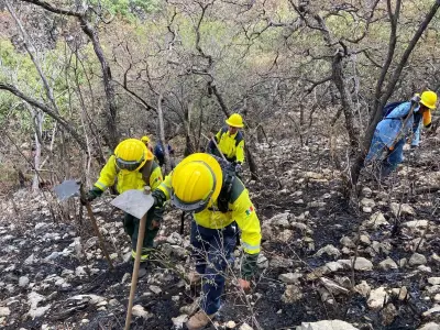 Controlan incendio forestal en Cohetzala, Puebla sin daños