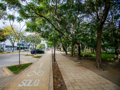 Convocan a artistas urbanos para intervenir ciclovía en Guadalajara
