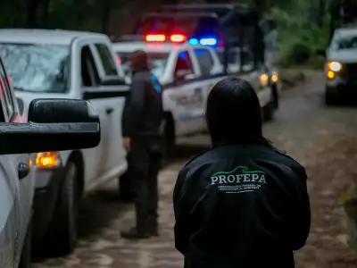 Cuajimalpa supervisa legalidad de obras del Tren Interurbano