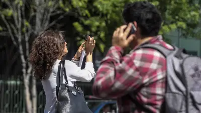 CURP y celular: enlace oficial para verificar tu línea antes del 1 de julio