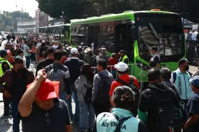 Desafío mundial a la movilidad en México: retos y soluciones