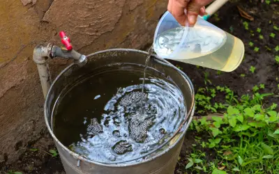 Desinfecta el agua de forma segura en temporada de calor