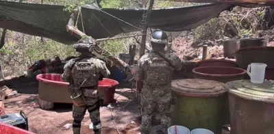 Desmantelan seis narcolaboratorios del CJNG; dos ligados a 'El Jardinero'