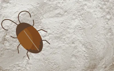 Elimina cucarachas rápido y barato con este truco casero