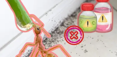 Elimina hormigas sin insecticida con remedios caseros y plantas