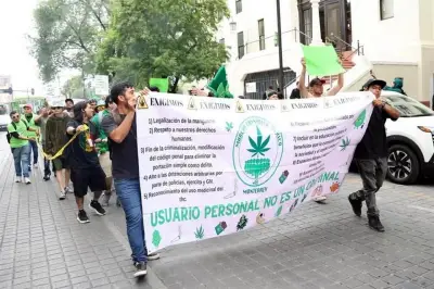 Exigen al Congreso marihuana legal en México