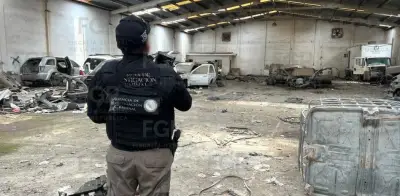 FGR asegura vehículos blindados en bodega de Reynosa