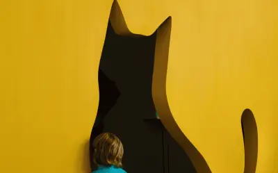 Gatos invaden el MAZ: exposición 