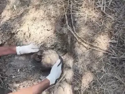 Hallan crematorio clandestino con 17 hornos en Lagos de Moreno