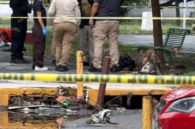 Hallan otro brazo humano en la Colonia Central de Ciudad Juárez
