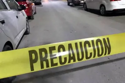 Hallan restos óseos humanos al remodelar casa en Monterrey