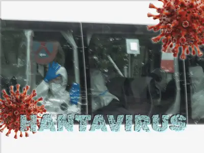 Hantavirus: qué le pasa al cuerpo y el brote en el crucero MV Hondius