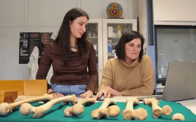 Huesos revelan edad de la menstruación en restos medievales españoles