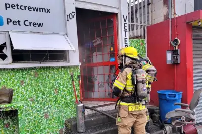 Incendio en veterinaria de San Pedro causa pánico en la zona