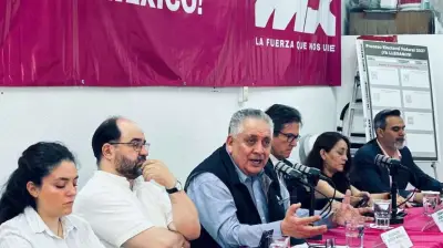 INE avala a Somos México en su camino a ser partido político