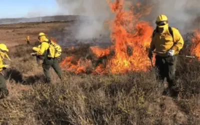 Jalisco, entre los estados con más incendios forestales activos en México