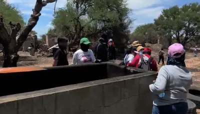 Jalisco pide esperar peritajes tras hallazgo de presunto crematorio clandestino
