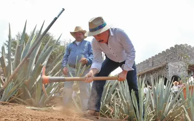 Jalisco: ¿Por qué su geografía es casi perfecta según expertos?