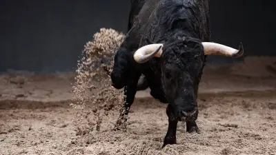 Jinete muere pisoteado por toro en rodeo en Brasil