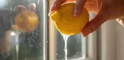 Limón en ventanas: el truco natural contra plagas