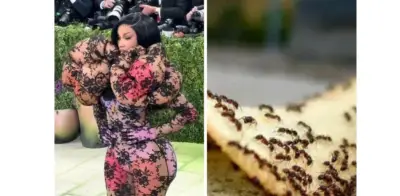 Los mejores memes de la Met Gala 2026 que arrasaron en redes