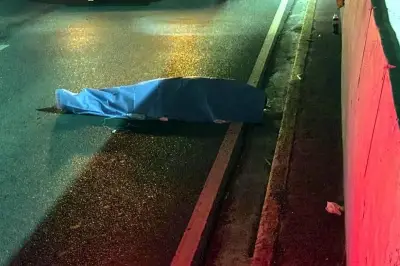 Muere atropellado en Paseo de los Leones en Monterrey