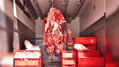 México dispara exportaciones de carne de res; preocupa dependencia de cerdo