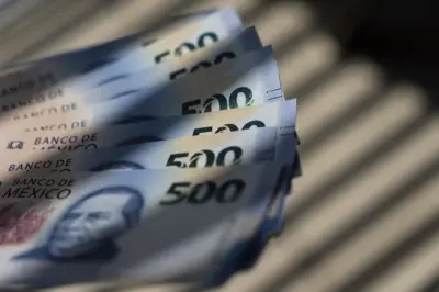 NL: Bajo apetito de inversión empresarial en 2025
