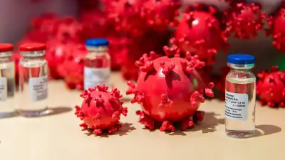 Norovirus: síntomas, transmisión y brote en crucero Caribbean Princess