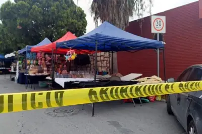 Ocho personas resultan picadas por abejas en mercado rodante