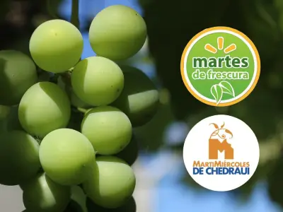 Ofertas en Walmart y Chedraui: frutas y verduras con descuentos