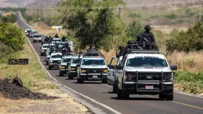 Operativo Enjambre: más de 70 detenidos en 10 estados del país