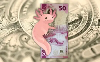 Peso mexicano se recupera frente al dólar; cierra semana con ganancias