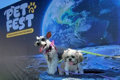 PetFest 2026 llega este fin de semana a Campo Marte con actividades para mascotas