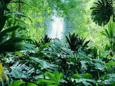 Pérdida de biodiversidad en México: causas y amenazas
