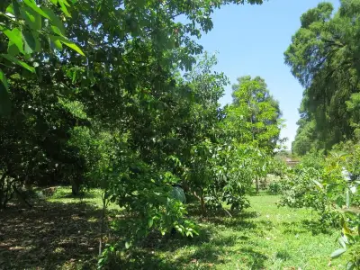 Probosque impulsa sistemas agrosilvopastoriles sostenibles en Edomex