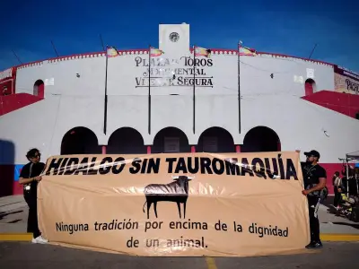 Prohibición de tauromaquia en Hidalgo avanza con iniciativa del PVEM