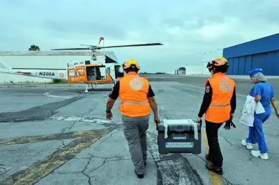 Pulmones llegan desde Tampico para trasplantes en CDMX