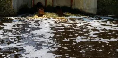 PVEM propone reutilizar agua en grandes comercios y hoteles de CDMX