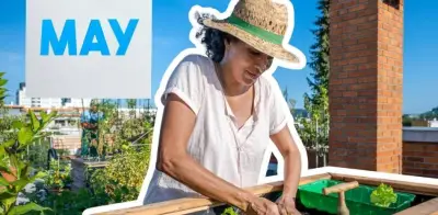 Qué sembrar en mayo: frutas y verduras para tu huerto en casa