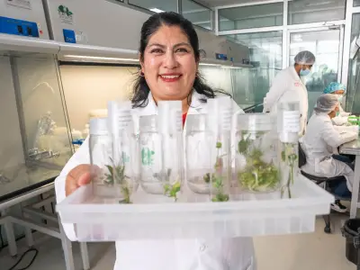 Sanidad vegetal: pilar clave para la seguridad alimentaria en México