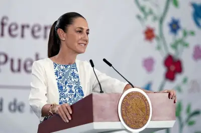 Sheinbaum niega reunión con AMLO; aclara rumores