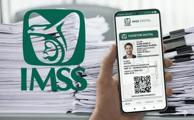 Tarjetón Digital IMSS 2026: Trámite paso a paso desde casa