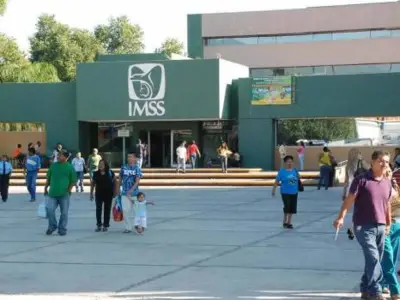 Trabajadores del IMSS denuncian hostigamiento y suplantación de identidad