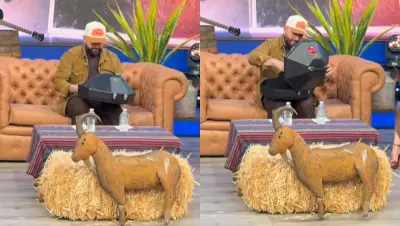 Tunden al programa Hoy por regalo a Carín León: reacción viral