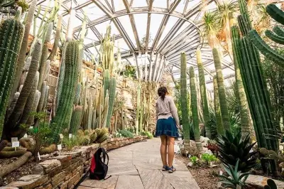 UNAM convierte su Jardín Botánico en un museo vivo interactivo