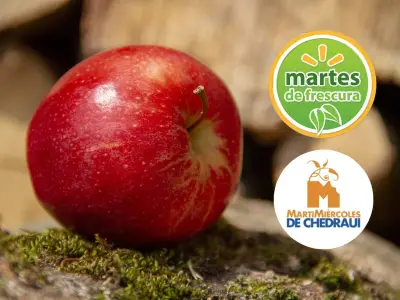 Walmart y Chedraui: descuentos en frutas, verduras y carnes
