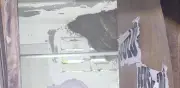Abejas regresan a pirámide de Coatzacoalcos; alertan por seguridad
